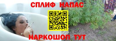 гидра Нарткала