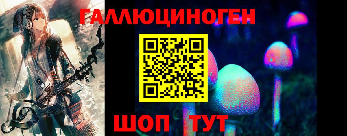Галлюциногенные грибы GOLDEN TEACHER  Вход с VPN  цены наркотик  Химки  Псилоцибиновые грибы GOLDEN TEACHER 